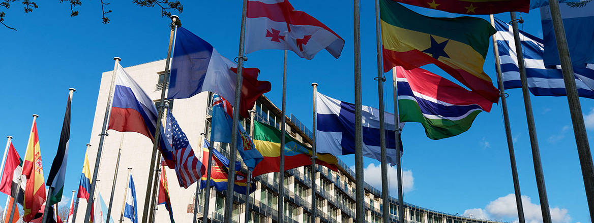 Flags fluttering in the wind in front of the UNESCO.