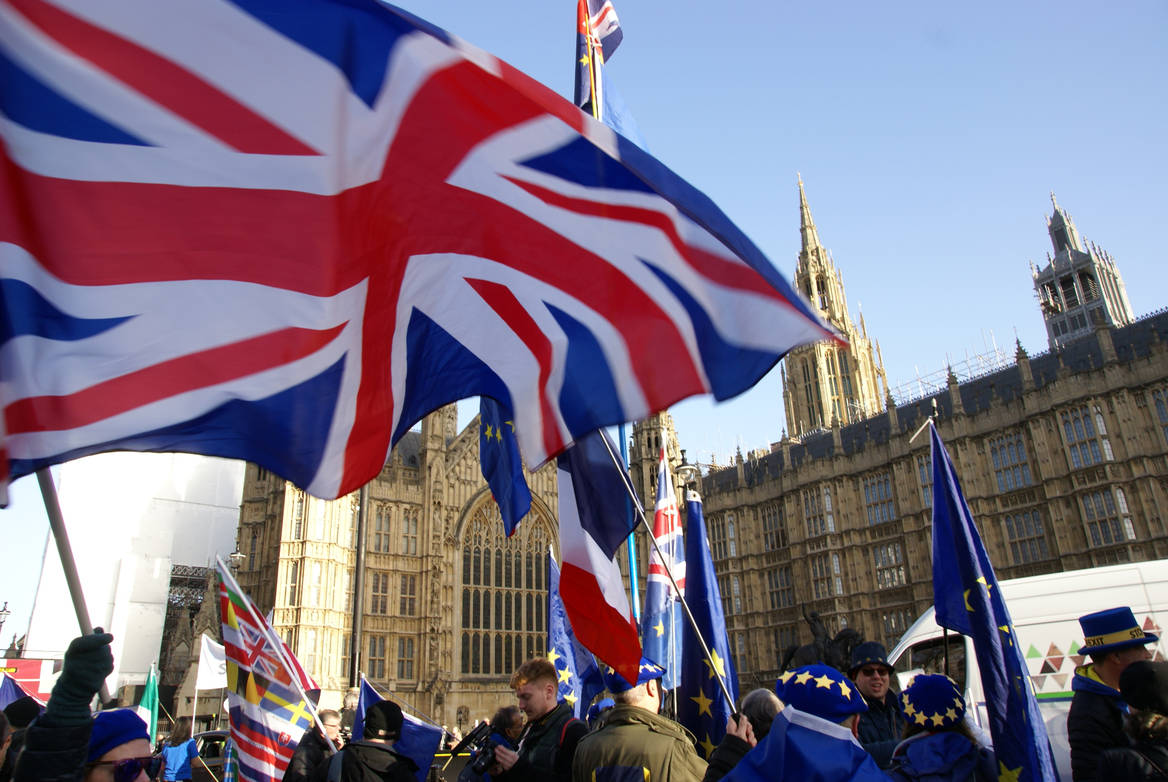brexit_protestors_westminster.jpg