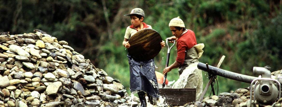 Ecudaorian men working in the forest