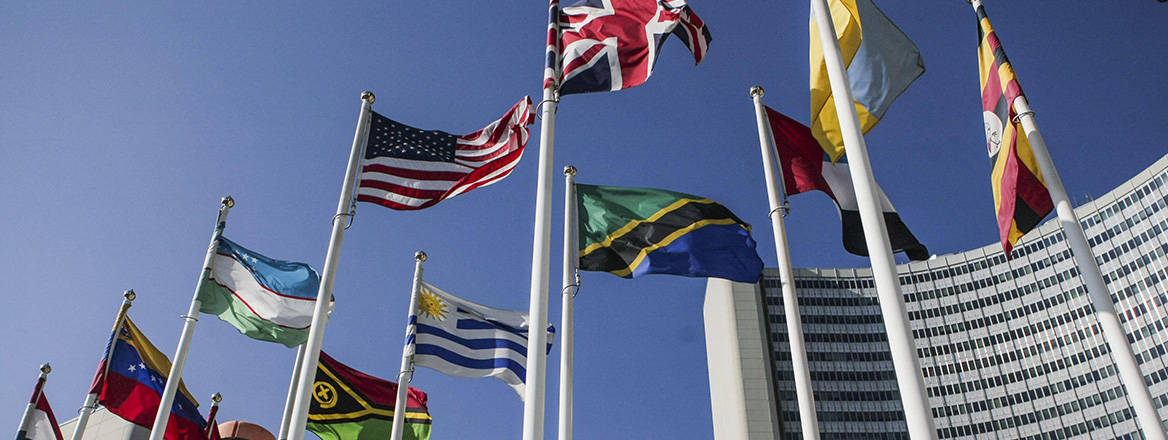Flags of UN member states in front of the UN Office at Vienna. Courtesy of Zuma Press/Alamy.