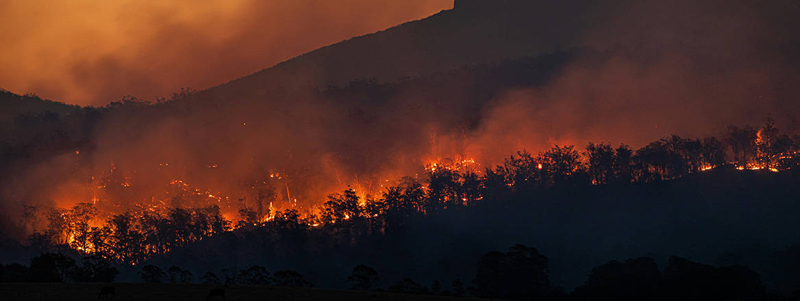 The effects of climate change on security are far-reaching, and involve sudden- and slow-onset forms, with the potential to destabilise countries and regions. Courtesy of Matt Palmer/Unsplash