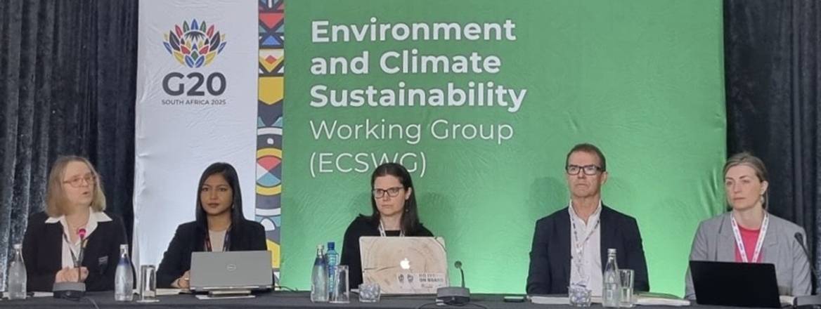 The G20 Environment and Climate Sustainability Working Group