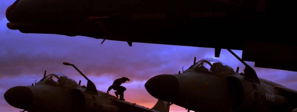 Harrier GR7 and Sea Harrier FA2