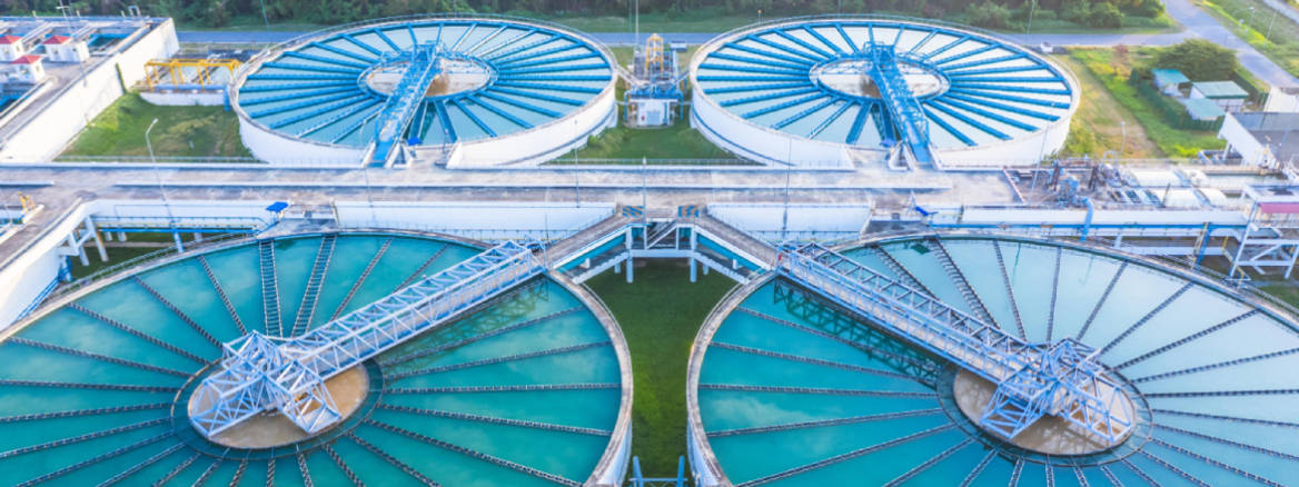 water plant