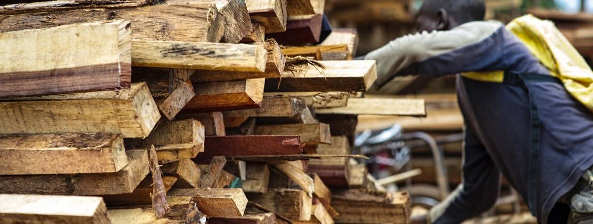 Bark tree wood in a market