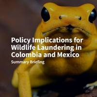 Policy Implications for Wildlife Laundering in Colombia and Mexico: Summary Briefing
