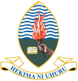 University of Dar es Salaam