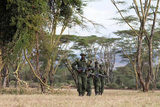 The Peace and Security System has Three Functions. African States Need a Fourth