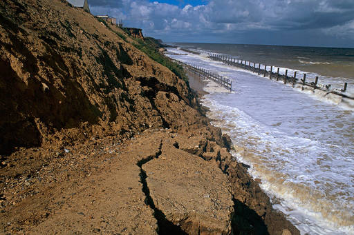 We Need to Talk About Ecosystem Collapse 