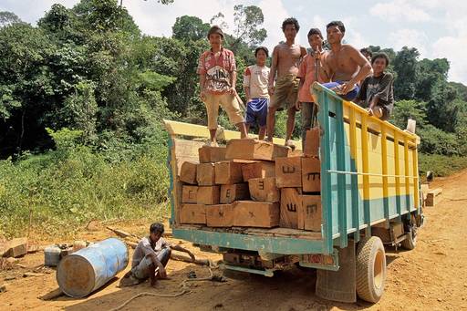 Environmental Crime: Could a New Protocol Help Us Follow the Money?