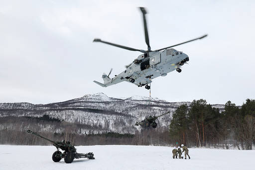 Security Cooperation Among the Arctic NATO Allies
