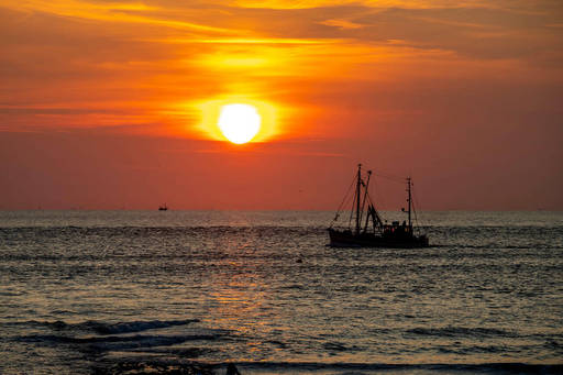 RUSI Invites Contributions to our Global Horizon Scan on IUU Fishing