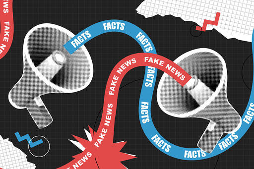 Recording: Mis-/Disinformation and Radicalisation: Public Sector Response