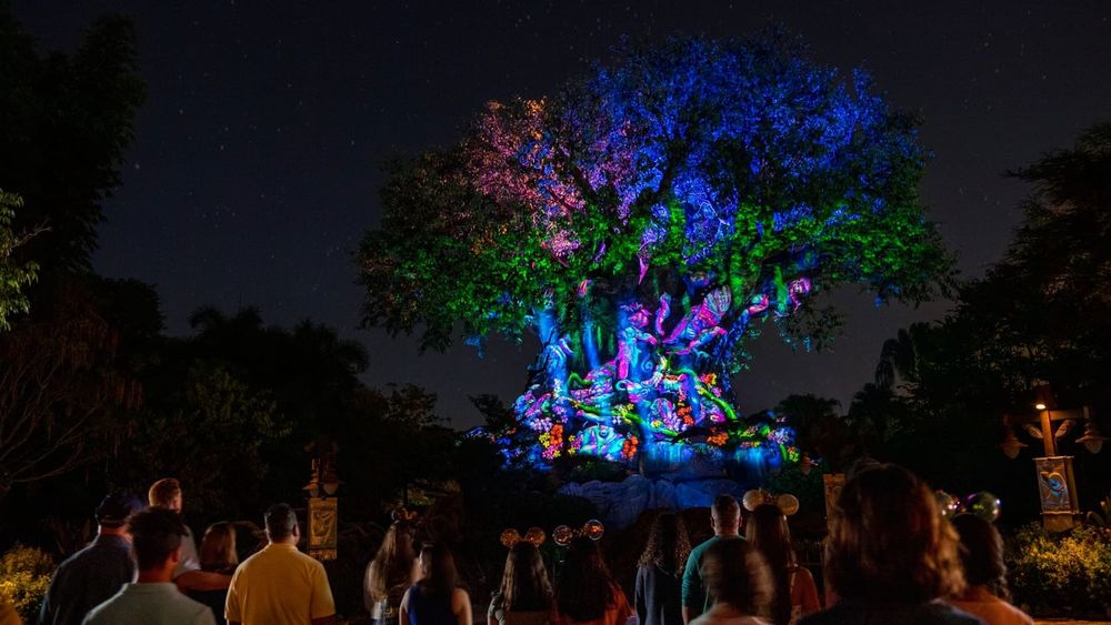 Tree of Life Awakenings