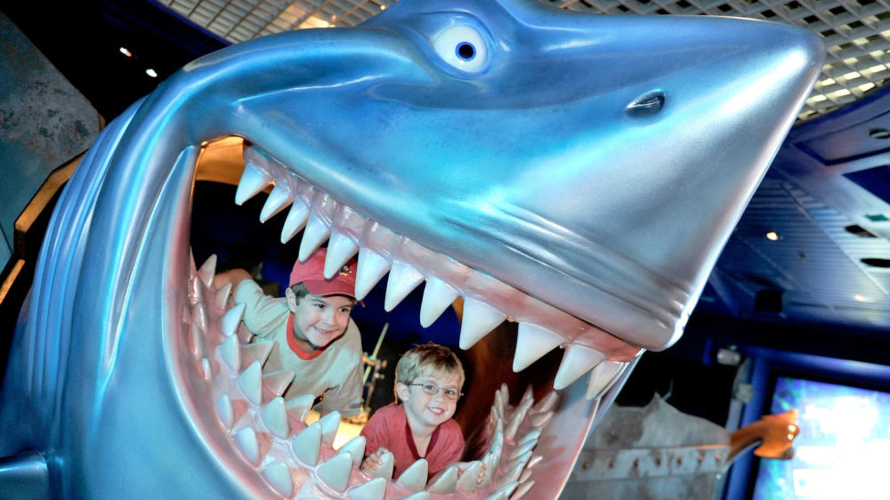 Bruce's Shark World