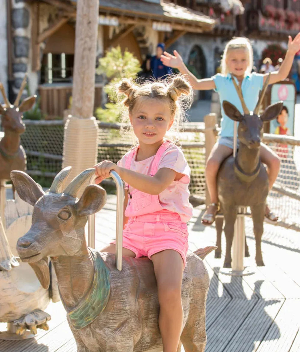 The Animal Carousel