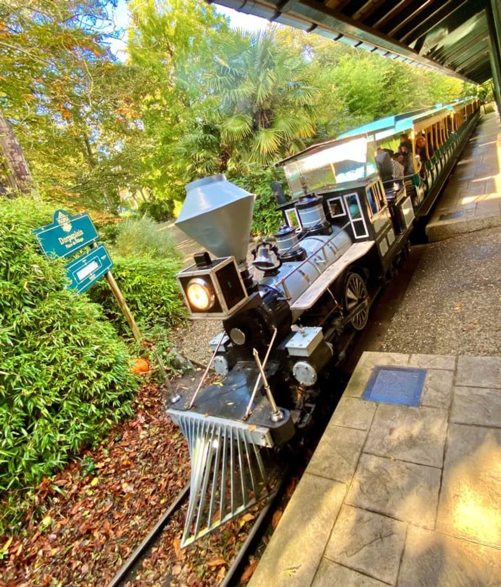 Plopsa Express - Town Square Station