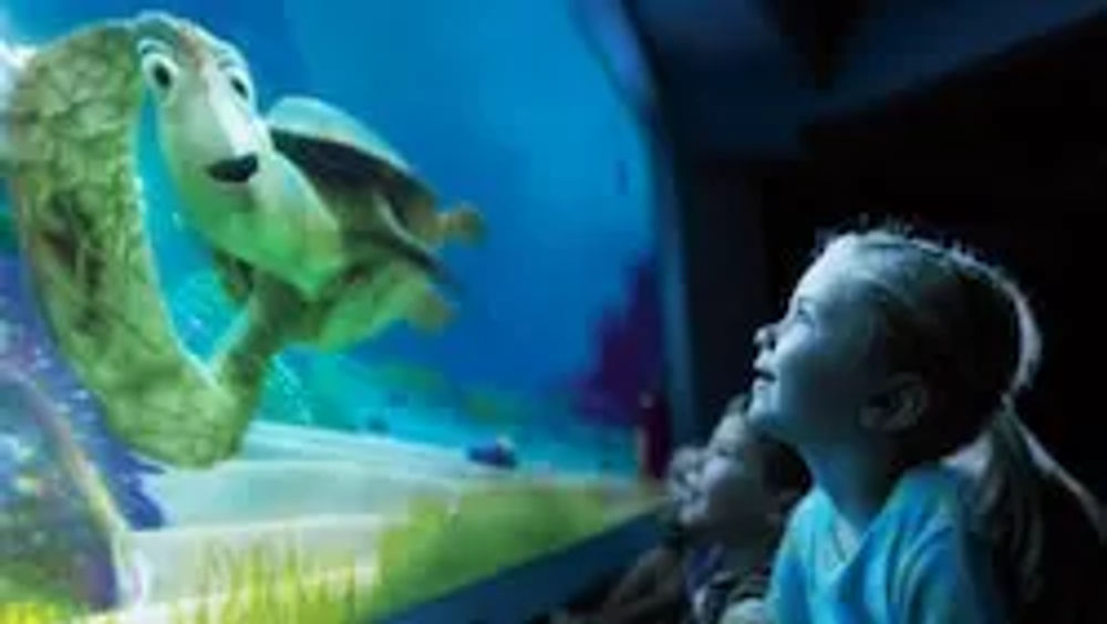 Turtle Talk With Crush