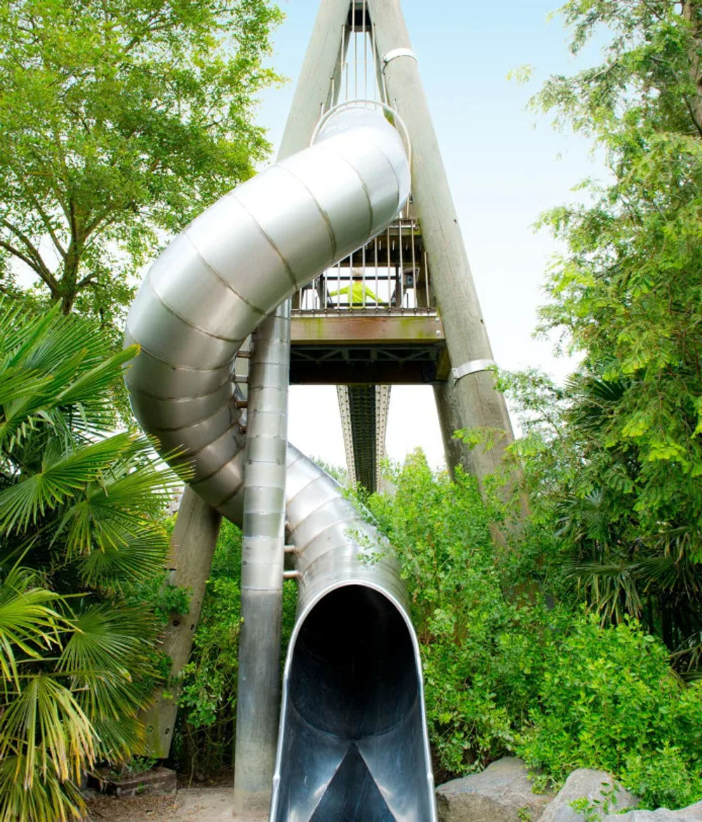 The Suspension Bridge