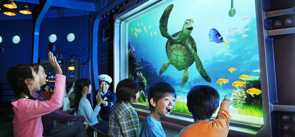 Turtle Talk