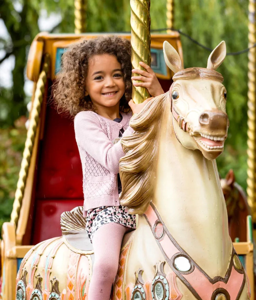 The Merry-go-Round
