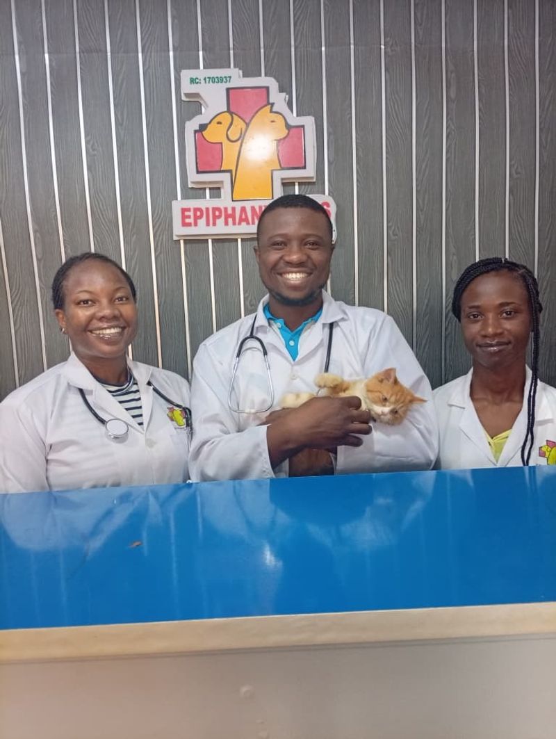 Epiphany Vets Veterinary Pharmacy - Premium Animal Care Facilities