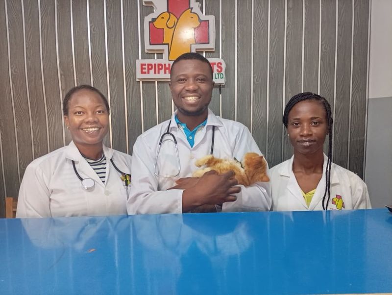 Epiphany Vets Pet Mart - Premium Pet Products Store