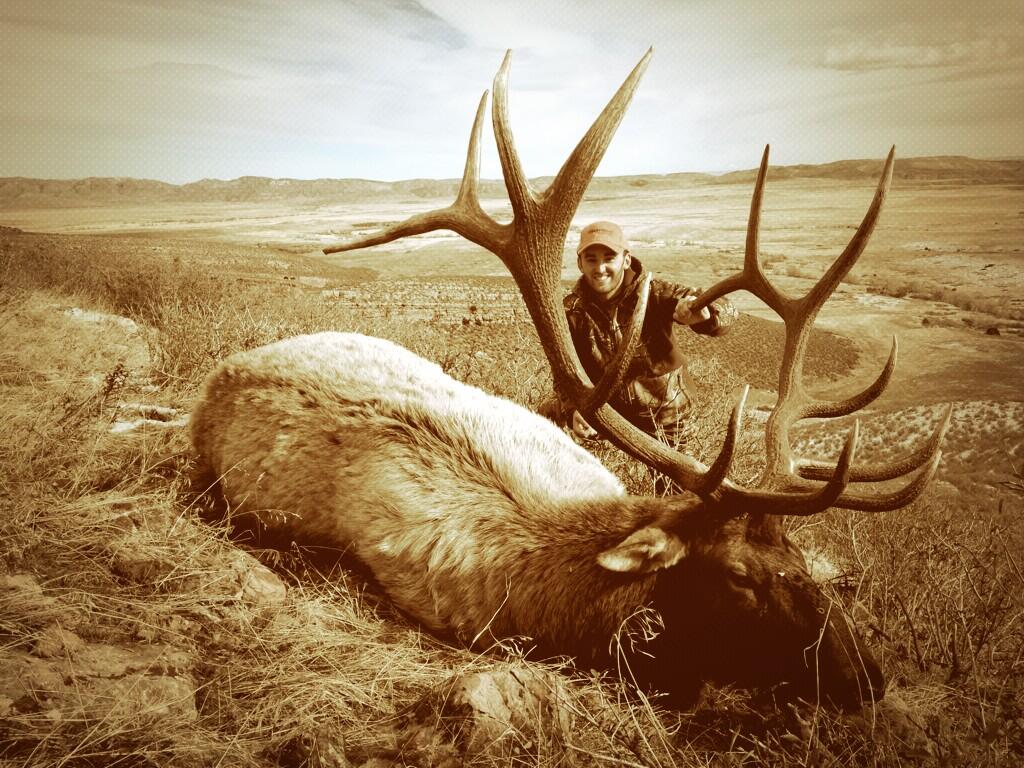 NASCAR Driver Austin Dillon’s Elk