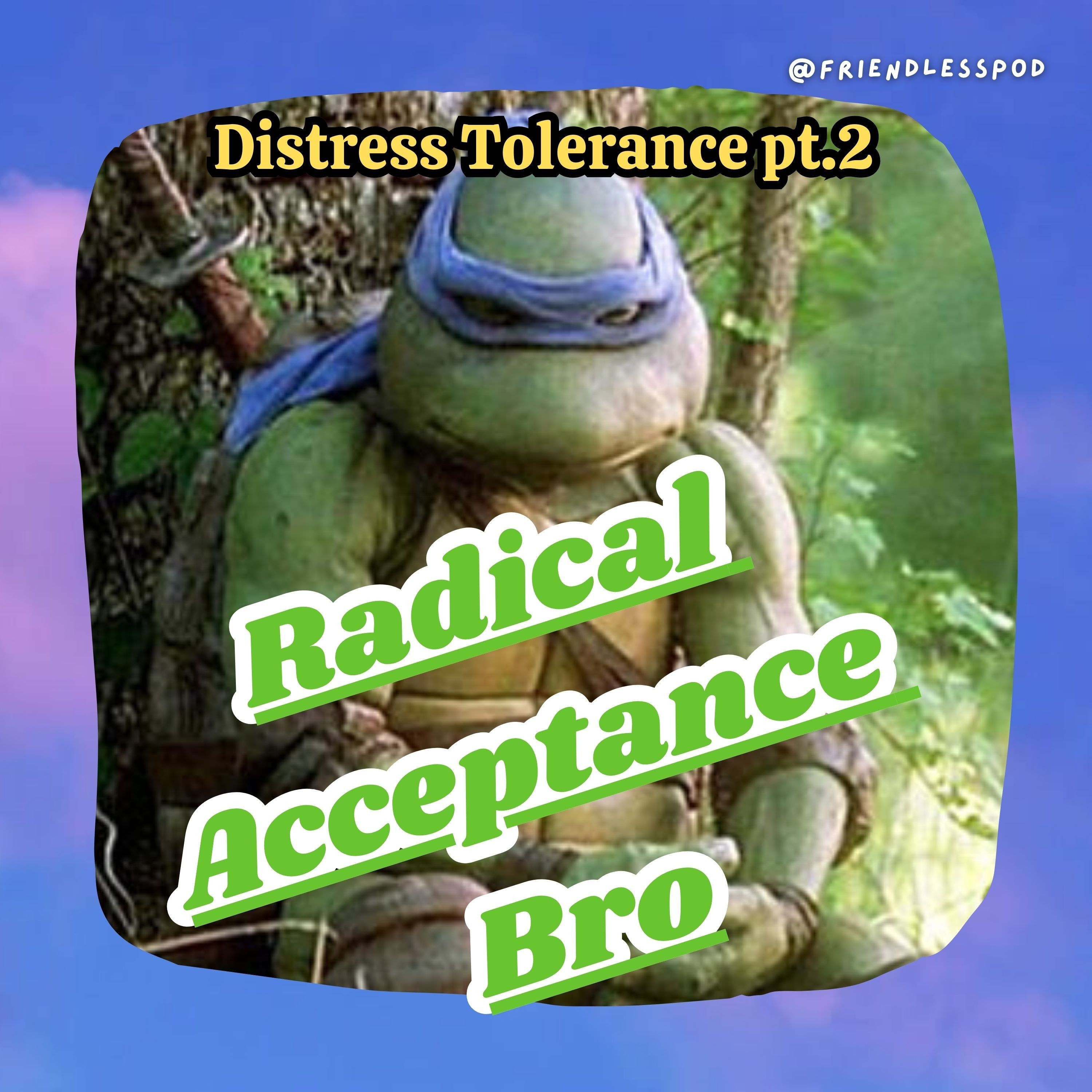 Radical Acceptance Bro! (Distress Tolerance pt. 2)