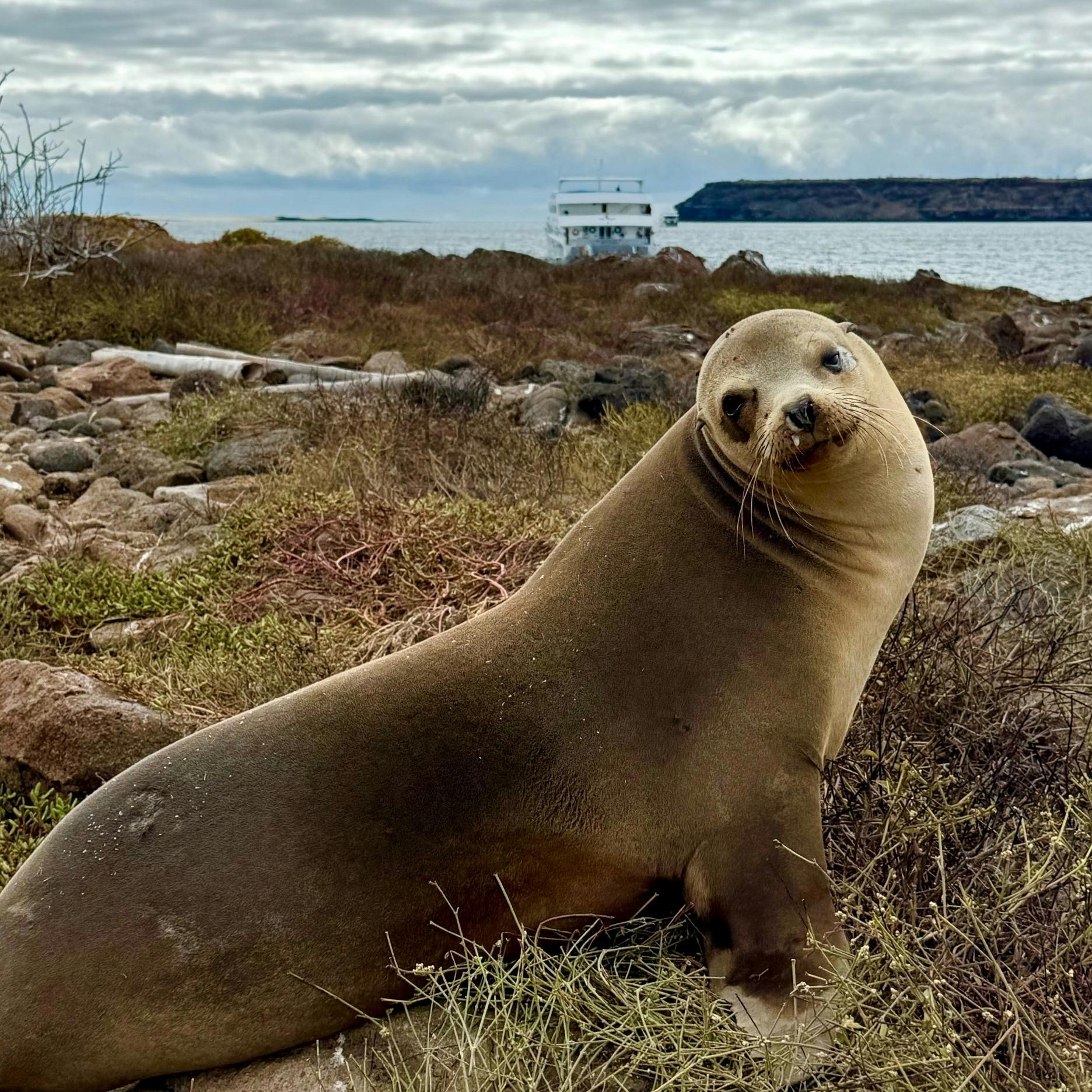 #172: Exploring Galápagos National Park