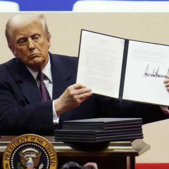 A challenge to Birthright Citizenship