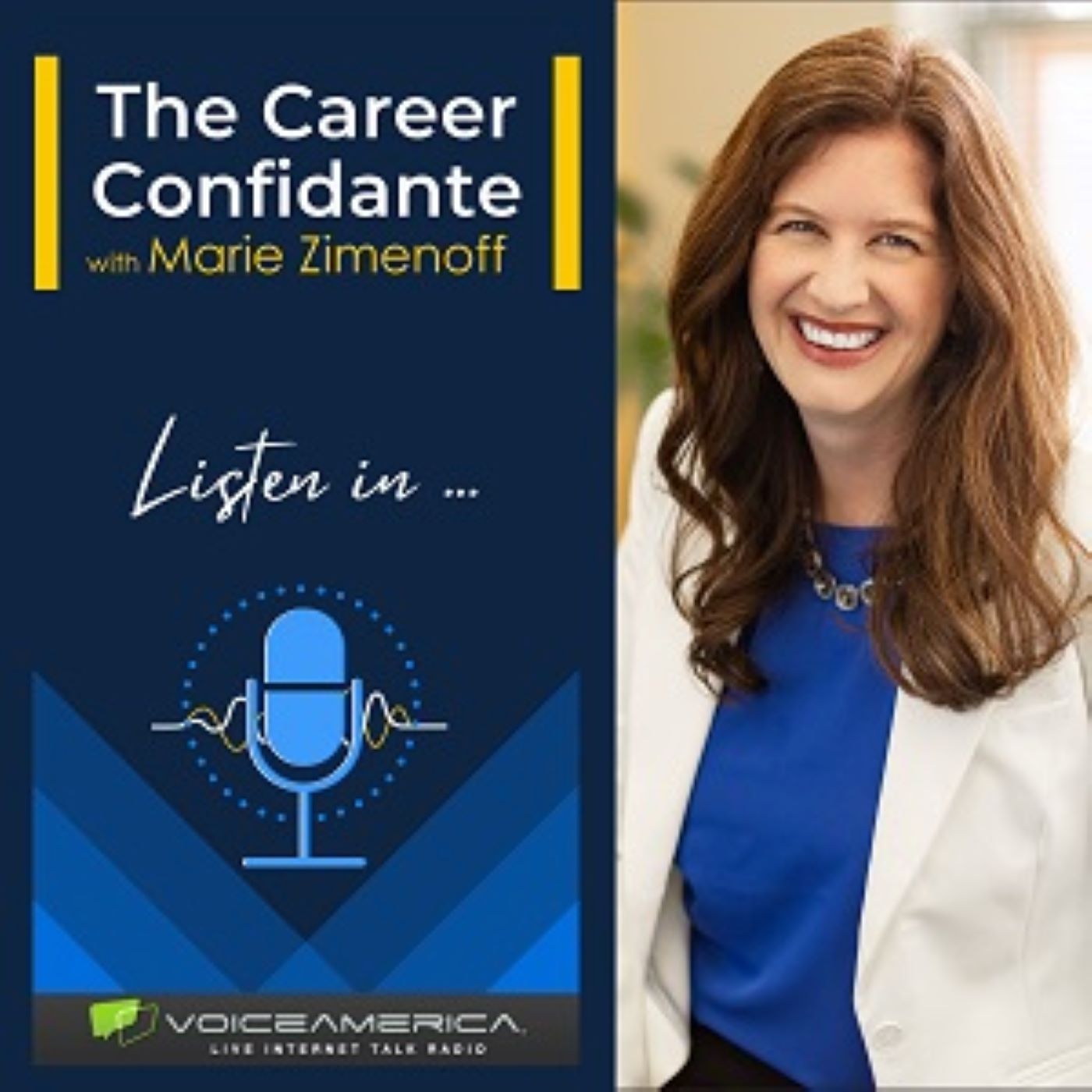 Navigating the Challenging Landscape of Mental Health Law