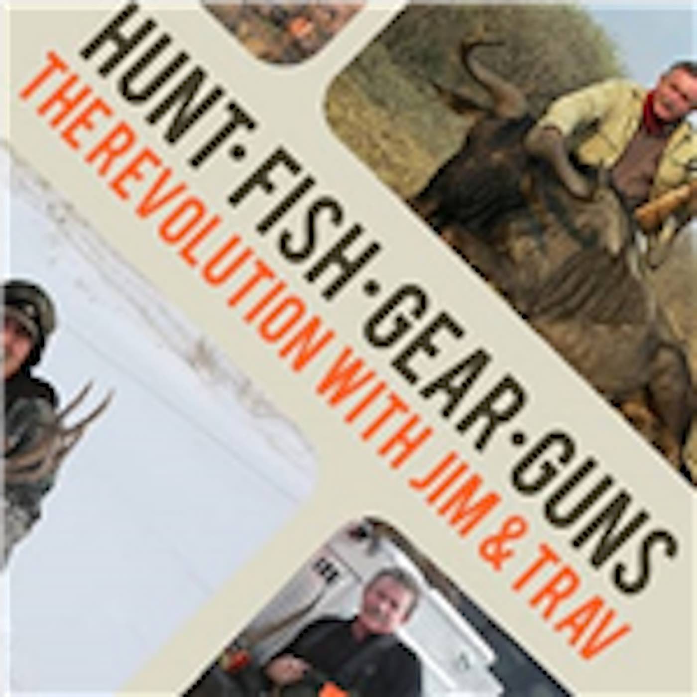 Navigating the Challenging Landscape of Mental Health Law