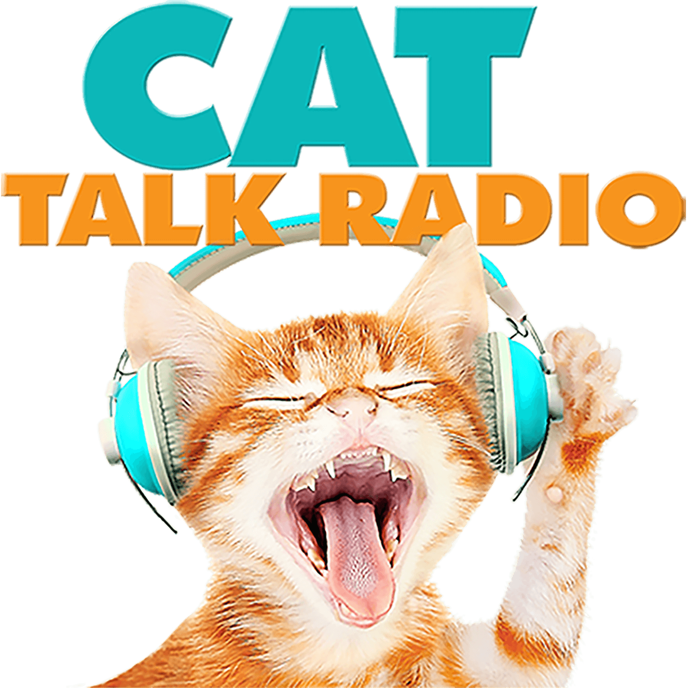 Navigating the Challenging Landscape of Mental Health Law