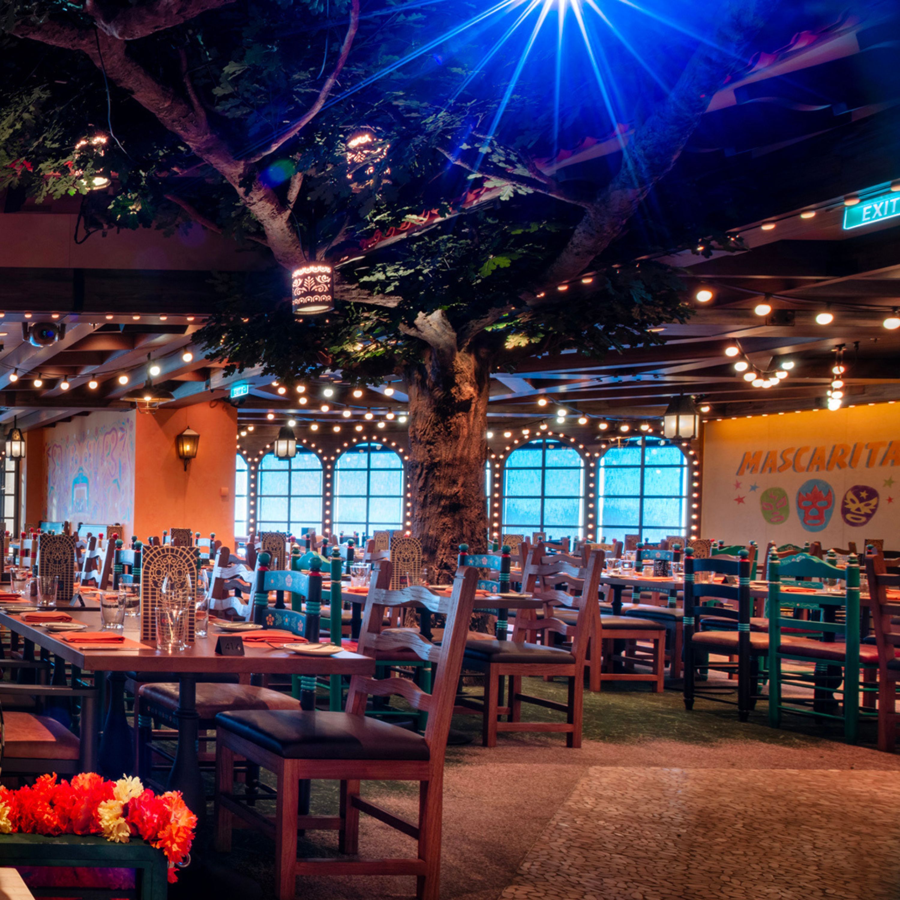 Pirate Night, Pretzels, and Peaceful Sleep Aboard the Disney Treasure! [Ep. 890]