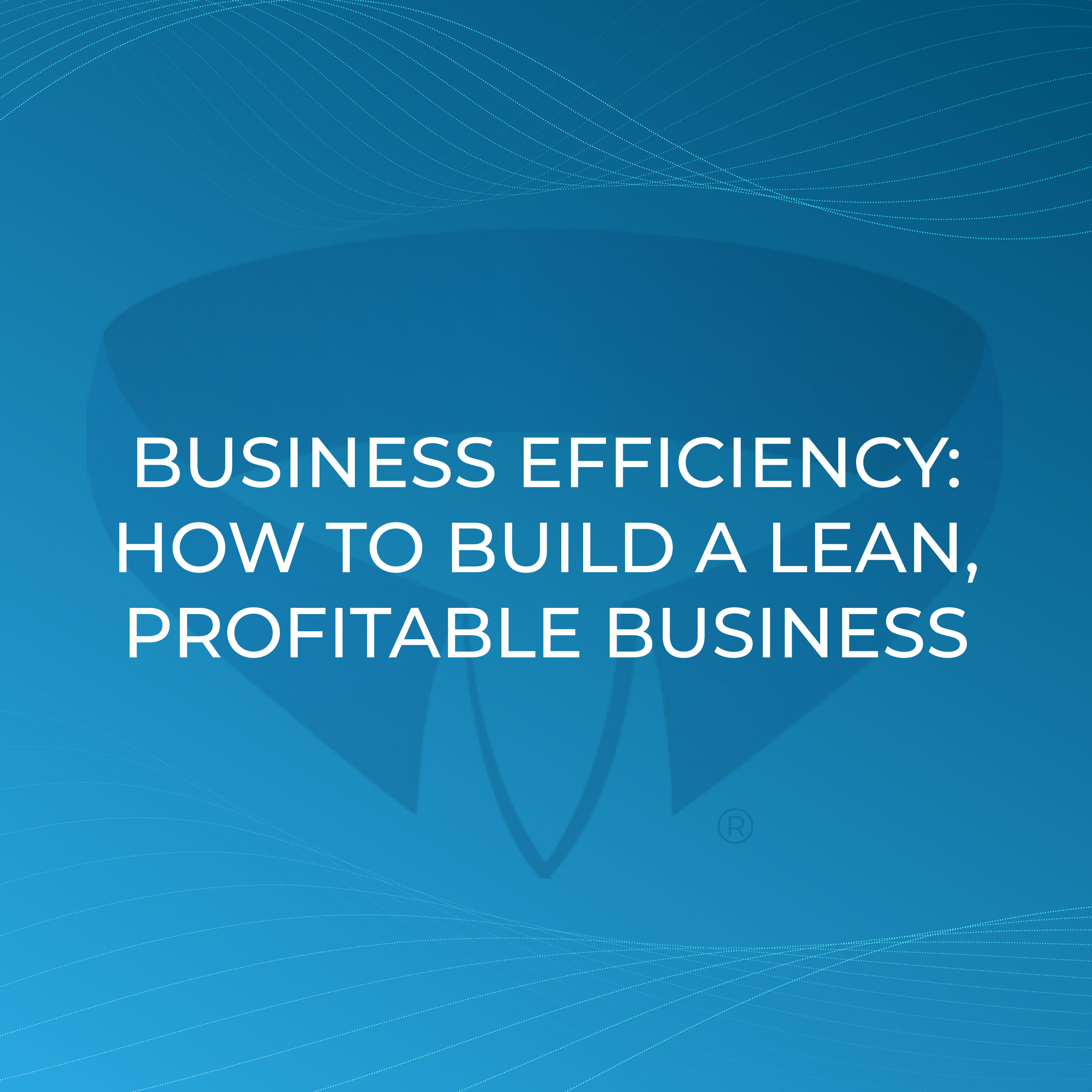 Business Efficiency: How to Build a Lean, Profitable Business