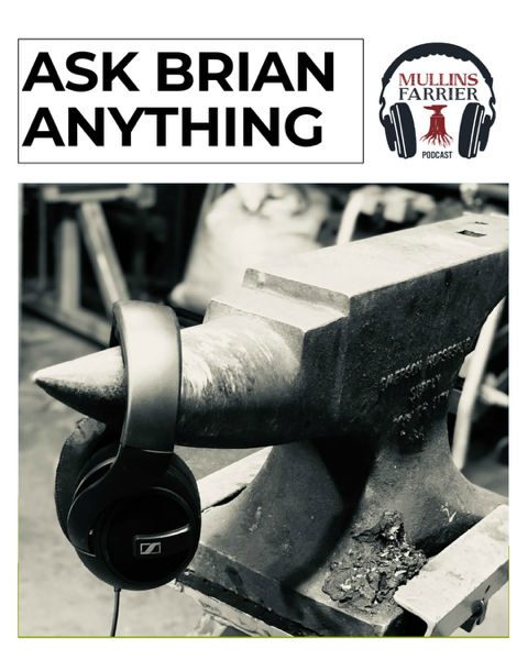 Ask Brian Anything hosted by Lee Olsen CJF