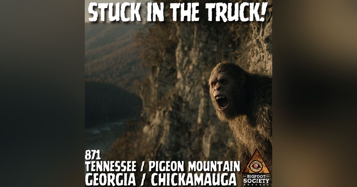 The Creature That Circled Us for Hours | Tennessee | Archives