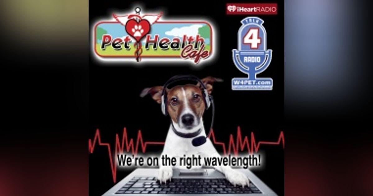 The beginning - Birth of Pet Health Caf