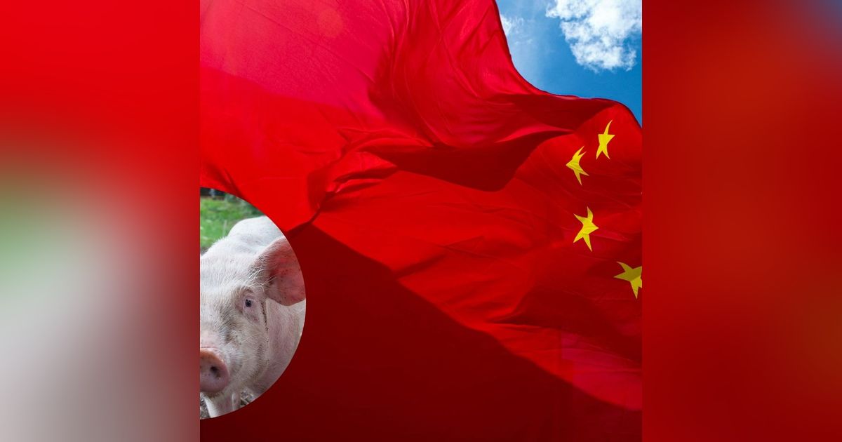 Prensa económica: China castiga con aranceles al cerdo español