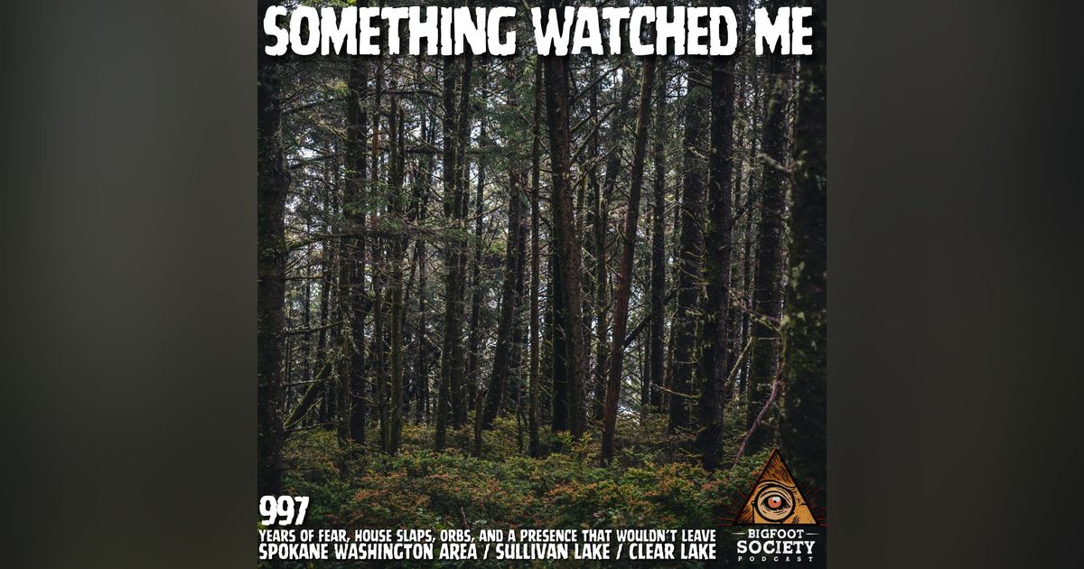 Something Followed Me Home in the Spokane Woods — Years of Fear Changed Me Forever Something Followed Me Home in the Spokane Woods — Years of Fear Changed Me Forever