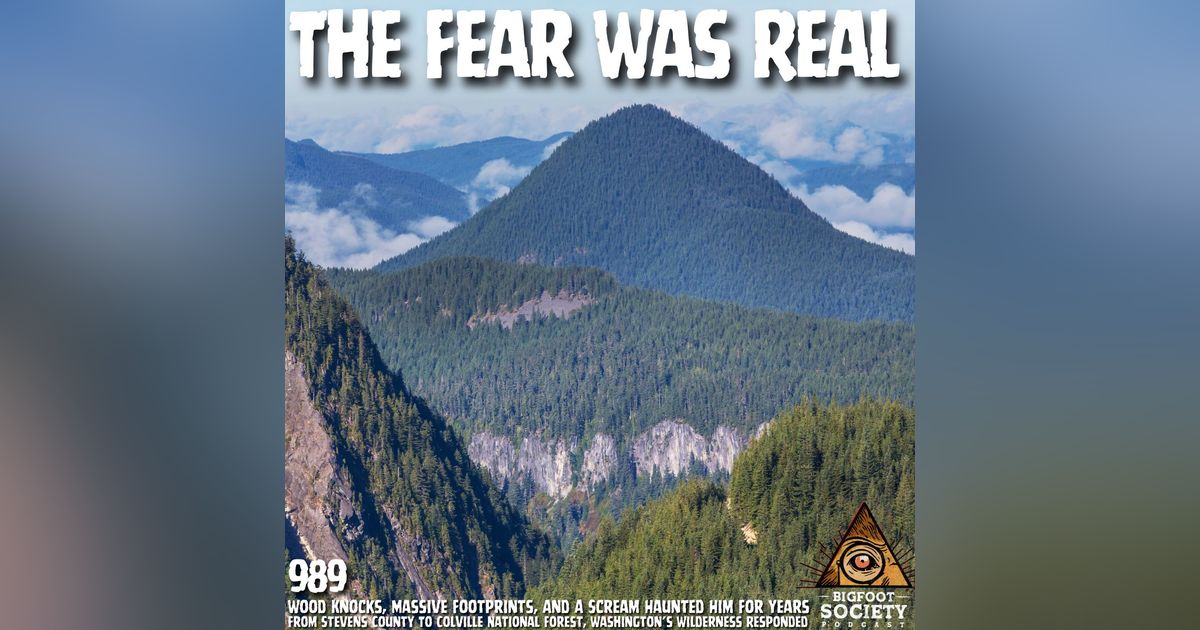 Late-Night Encounter In Colville National Forest Leaves Witness Shaken