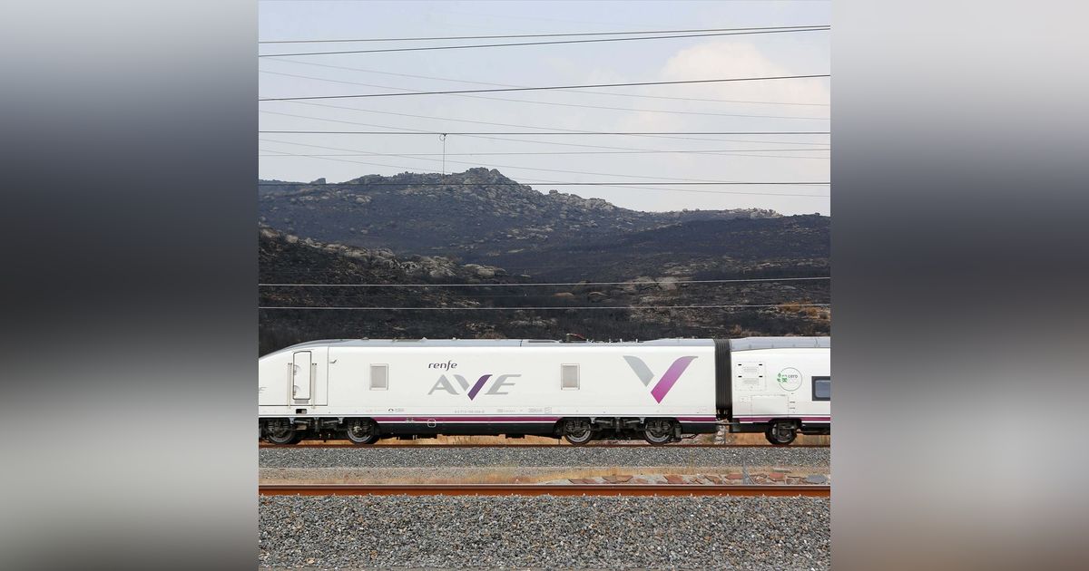Prensa económica: Los problemas de la red ferroviaria española