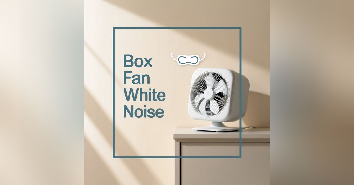 Box Fan White Noise 💤 | Ultimate Sleep & Focus Sound