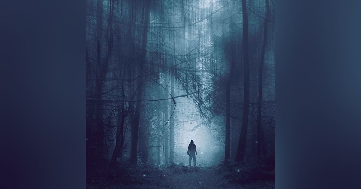 DEJA DE SEGUIRME POR FAVOR | EXPERIENCIAS CONTADAS POR UN GUARDABOSQUES