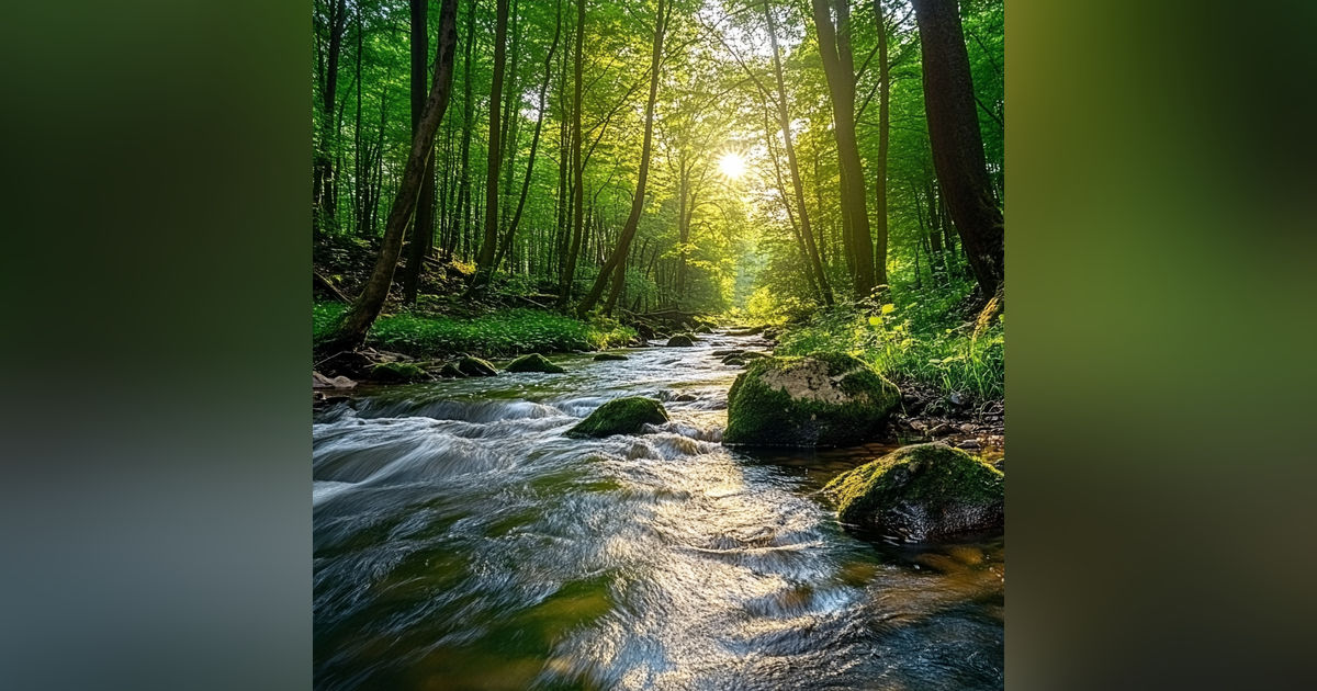 Forest River Nature Sounds - Gentle Stream with Birdsong | Relaxing Nature Ambience for Sleep