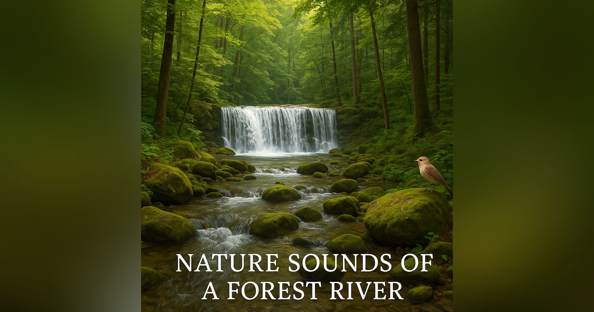 Nature Sounds of a Forest River for Relaxing-Natural meditation music of a Waterfall & Bird Sounds