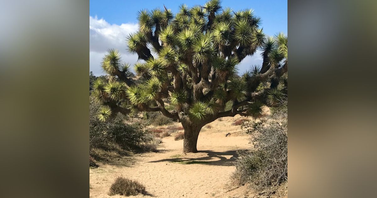 #84: Mailbag! Planning for Summer Trips and More