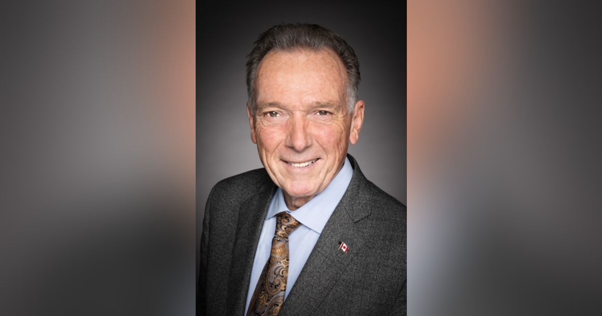 Peter Kent, Journalist/Politician