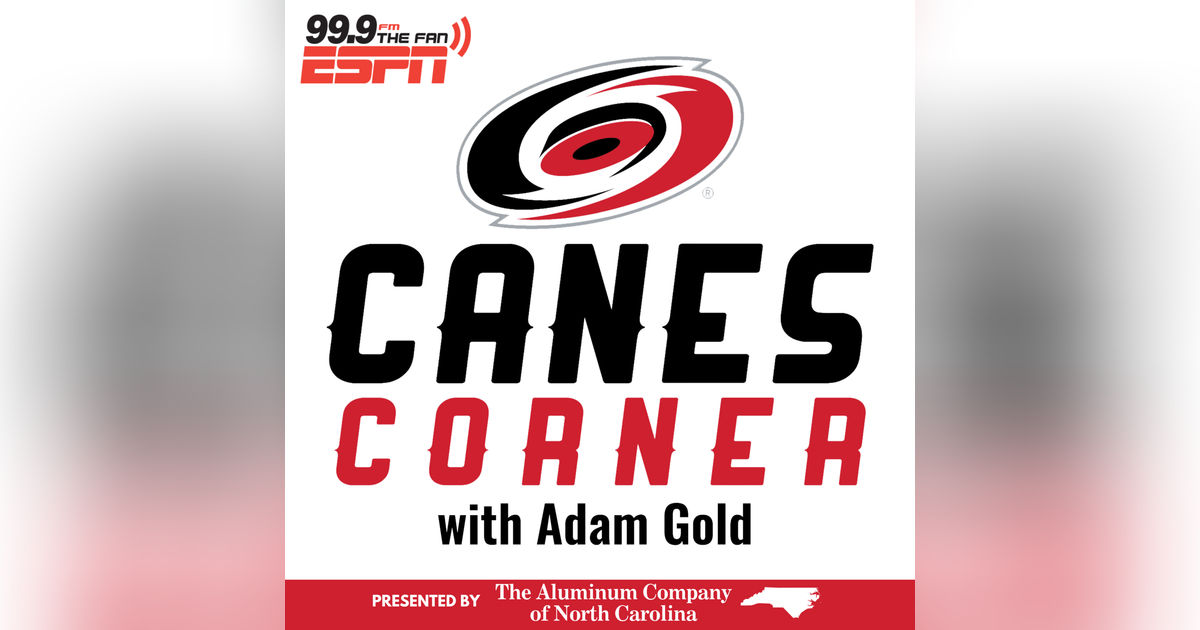 Canes no show in 4-0 loss to Wild